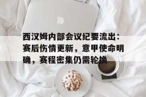 多宝官网入口 -西汉姆内部会议纪要流出：赛后伤情更新，意甲使命明确，赛程密集仍需轮换的简单介绍